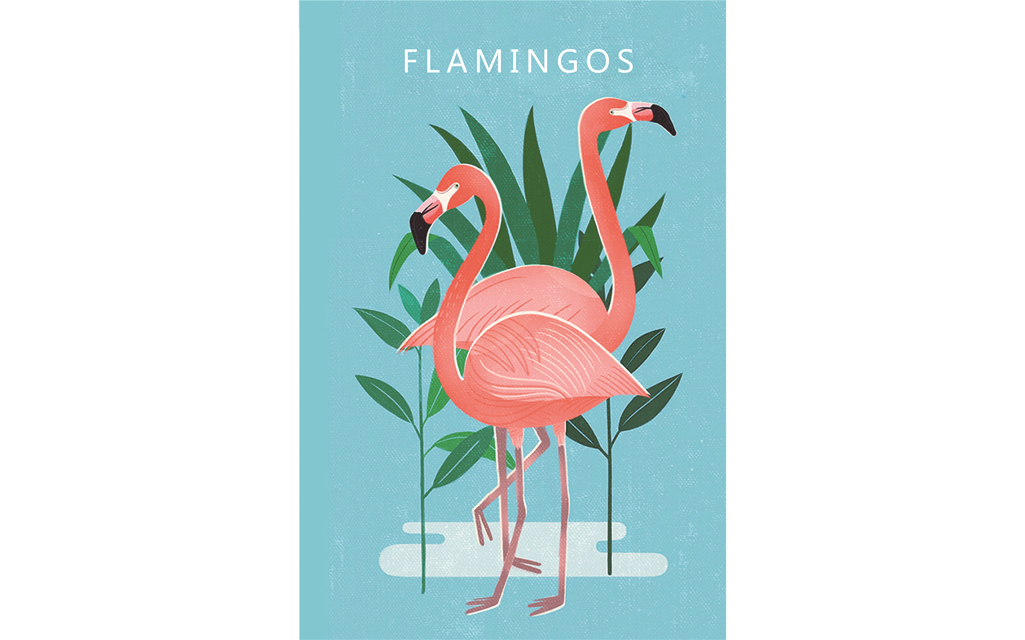 Cactus and Flamingos