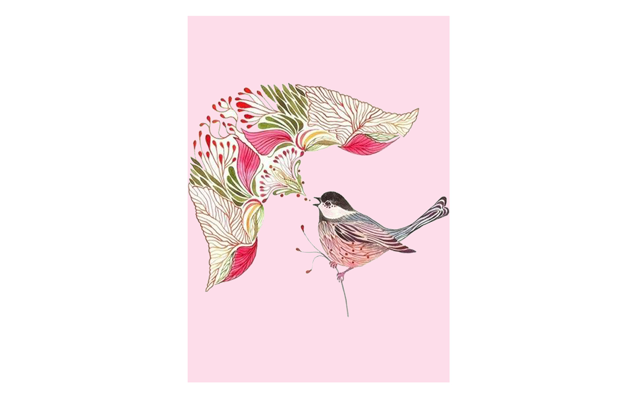 Flower Fusion and Bird Pink BG