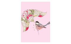 Flower Fusion and Bird Pink BG