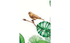 Exotic Small Birds on Leaf