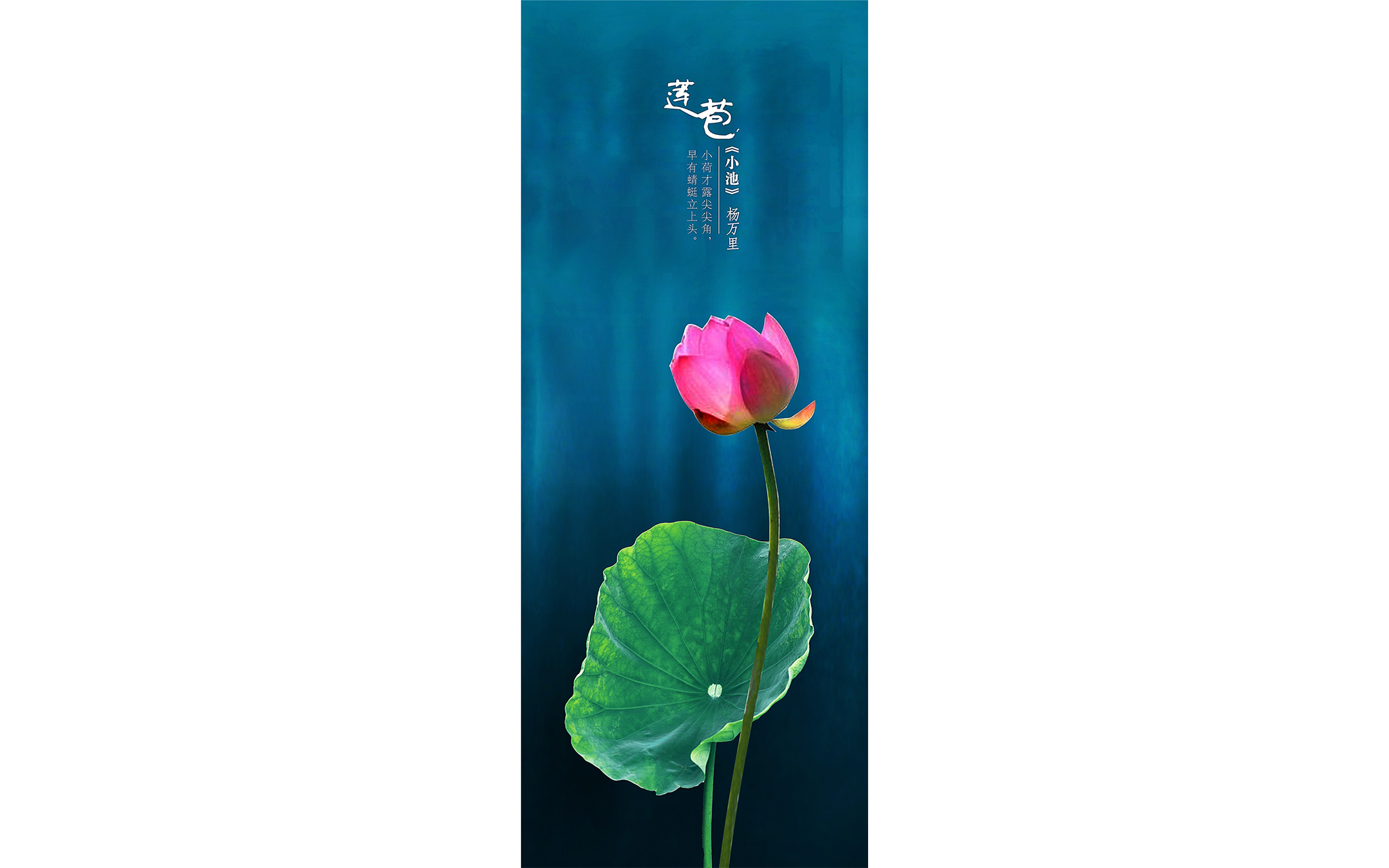 Lotus Flowers with Blue Watercolor