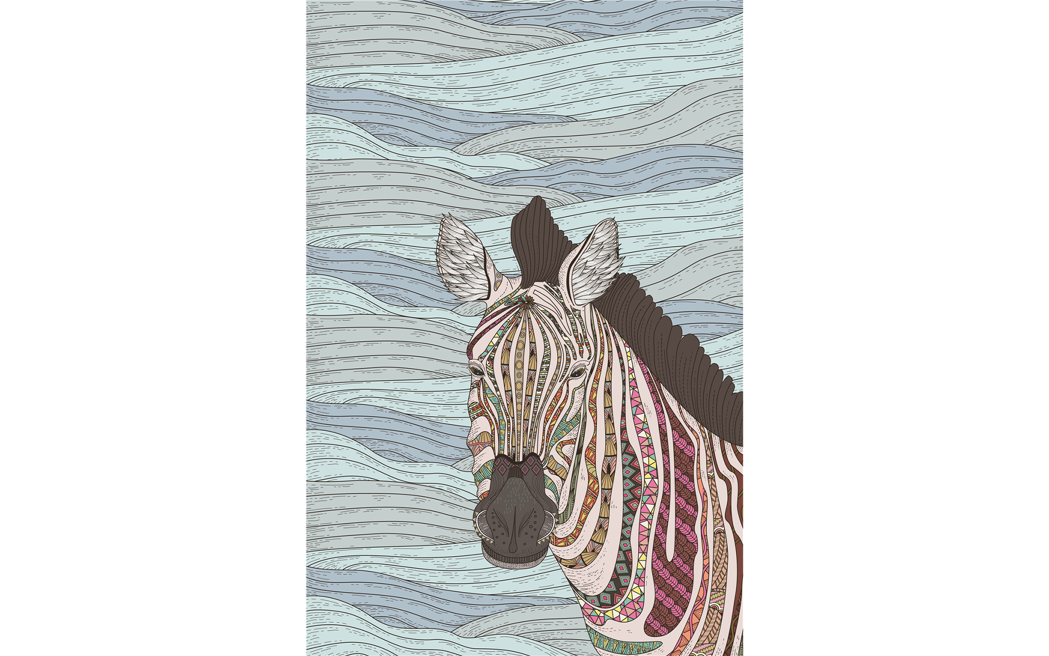 Zebra Colored Stripes