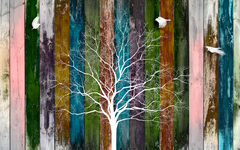 Naked White Tree in Multicolored Wood Background