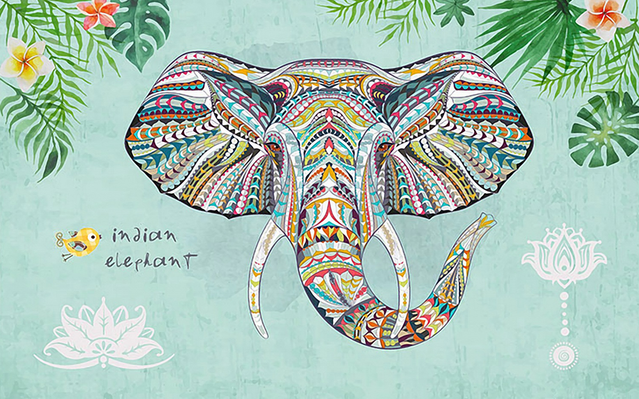 Colorful Elephant Head