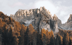 Dolomites in Autumn Trees