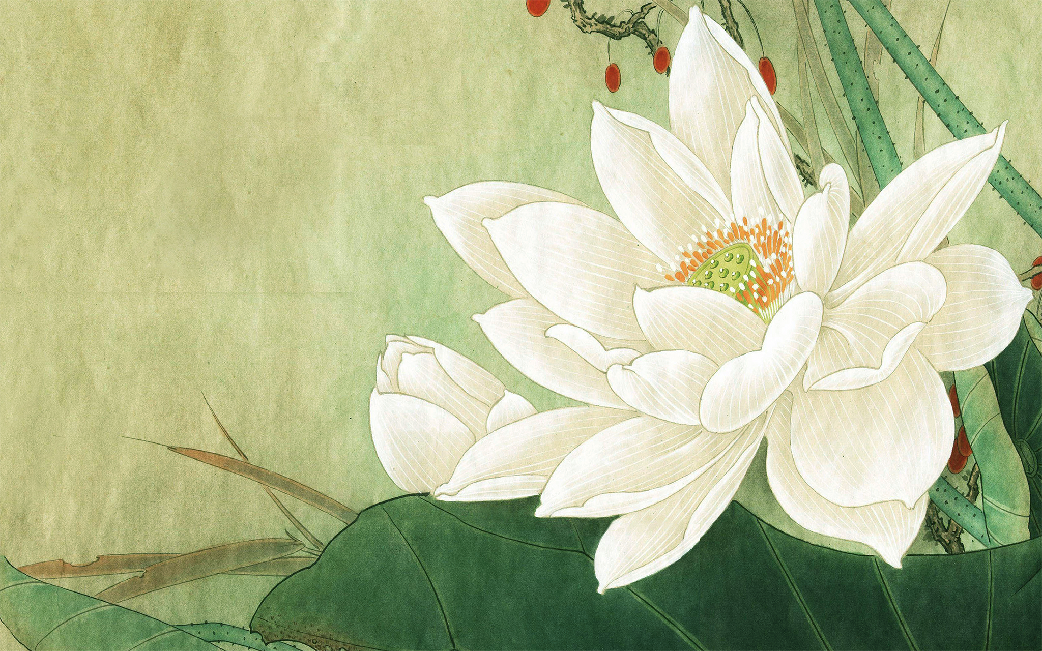 Watercolor White Flower