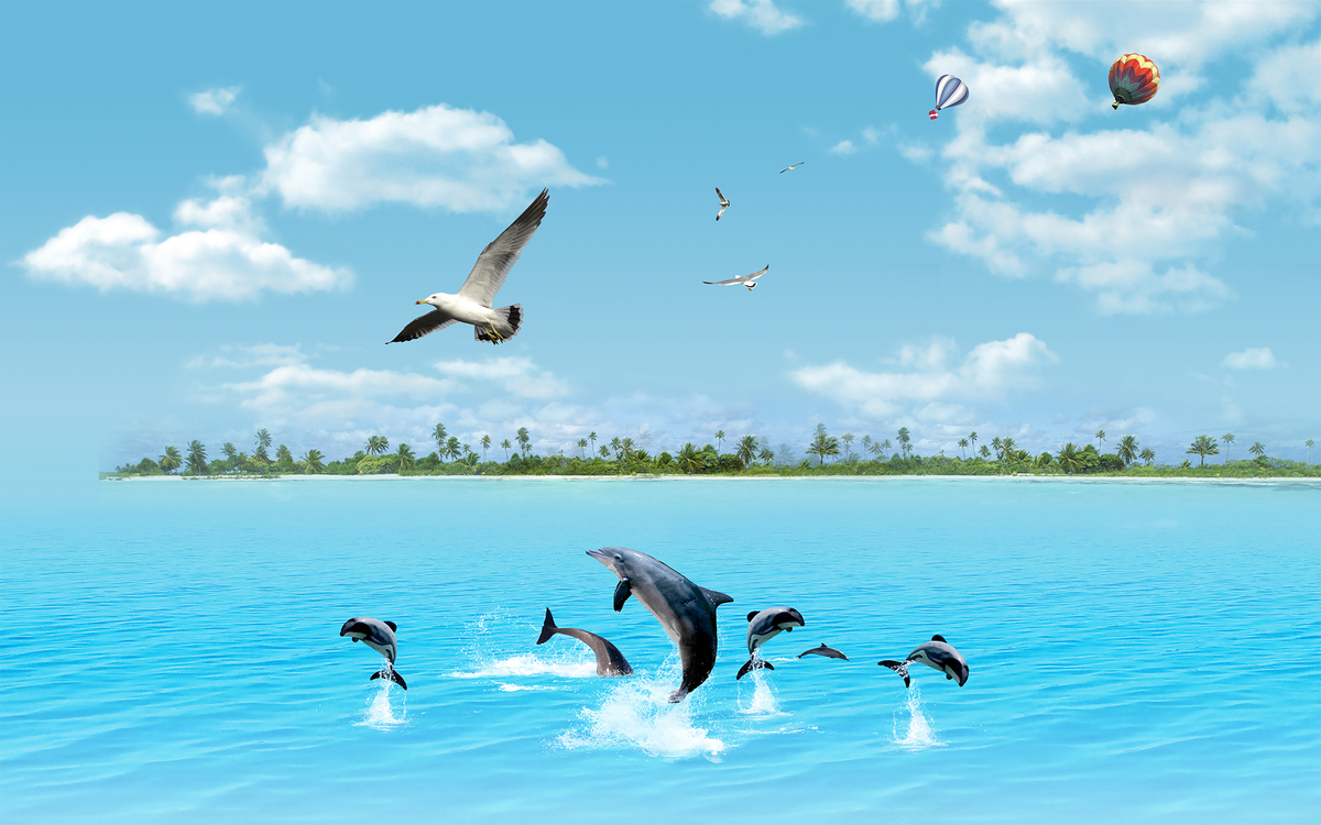 Jumping Dolphins, Birds and Hot Air Balloon