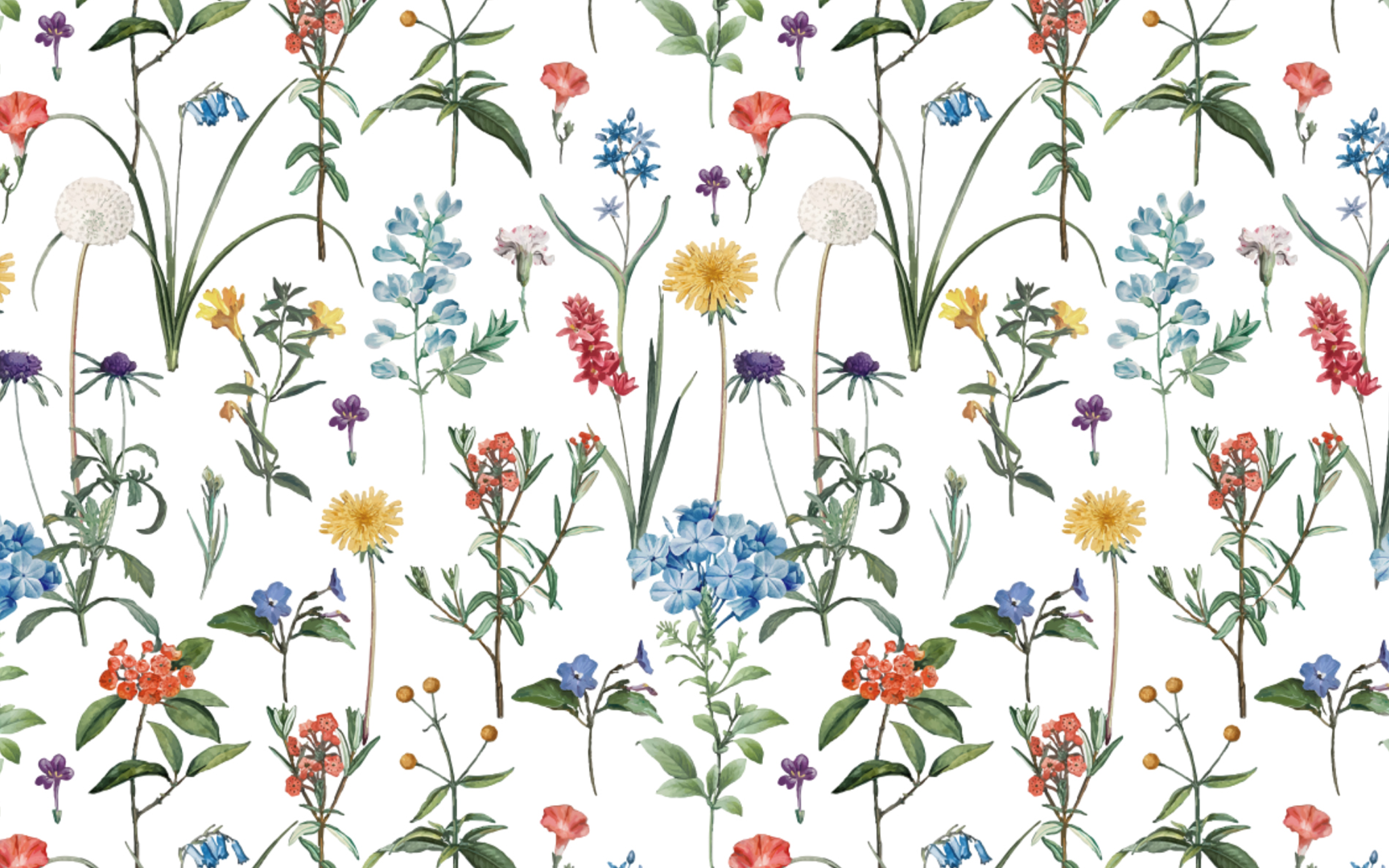 Multi-colored Stemmed Flowers White BG Seamless