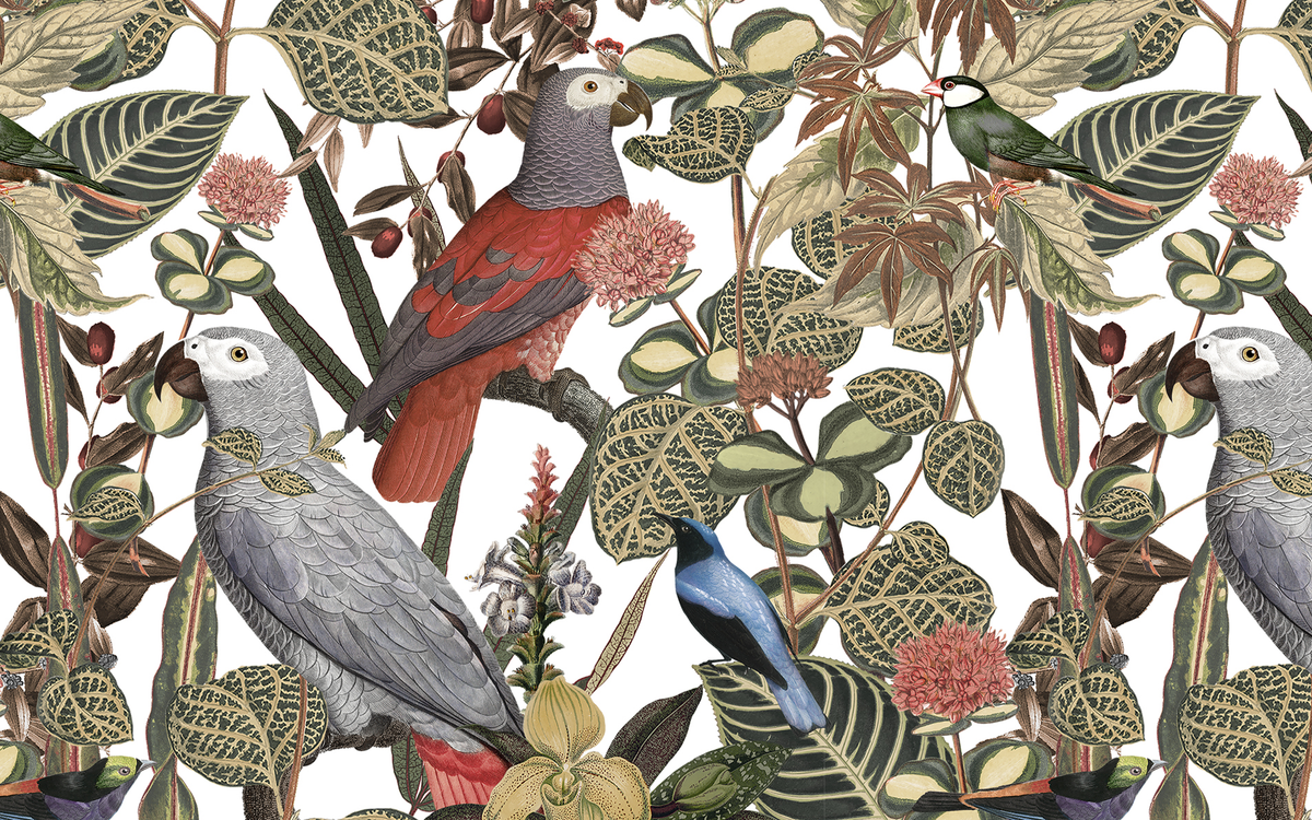 Parrot and Plants Pattern White BG Seamless