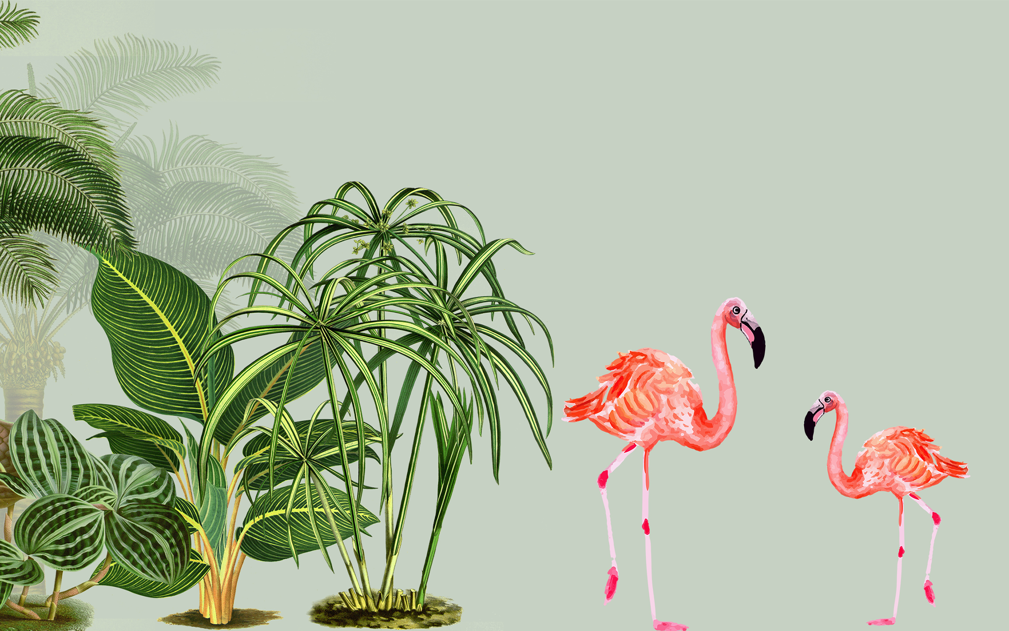 Leaves and Flamingos